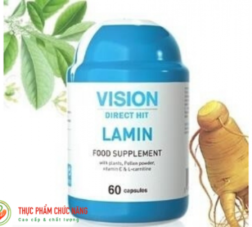 Vision Lamin 